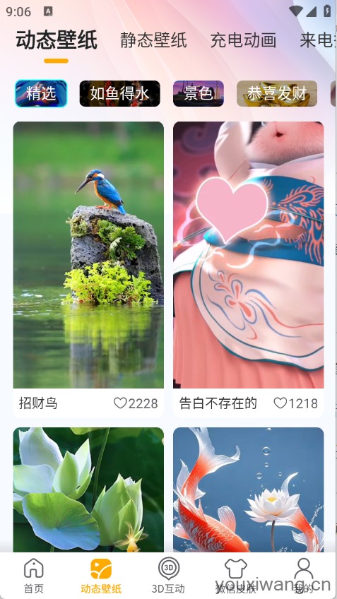 荷花锦鲤壁纸(图3)