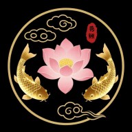 荷花锦鲤壁纸