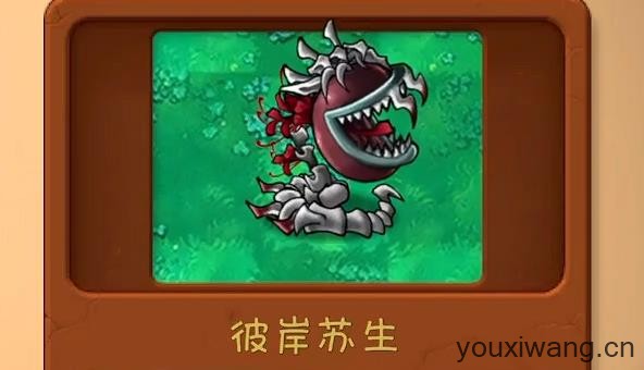 植物大战僵尸共生版手机版(图21)