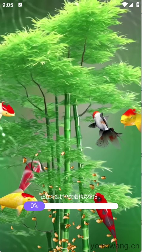 荷花锦鲤壁纸(图2)