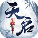 天启传世