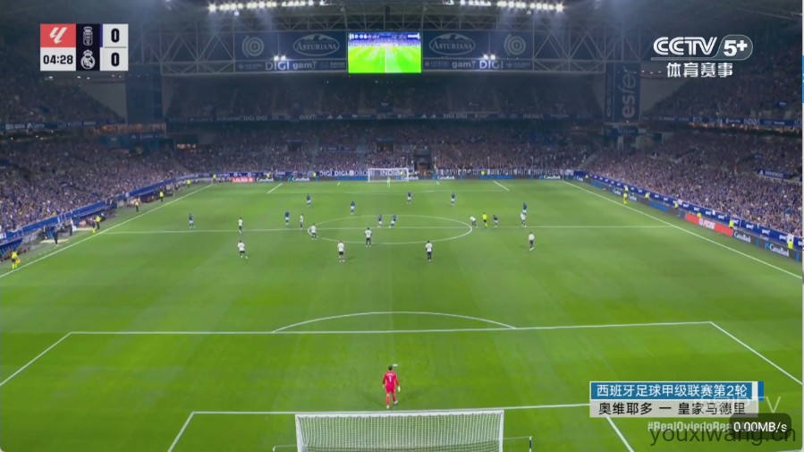 彩虹飞鸟稳定版(图2)