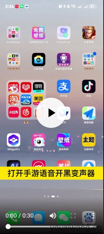 手游开黑变声器(图1)