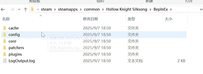 《空洞骑士丝之歌》MOD安装全指南：3分钟搞定，解锁无限可能(图3)