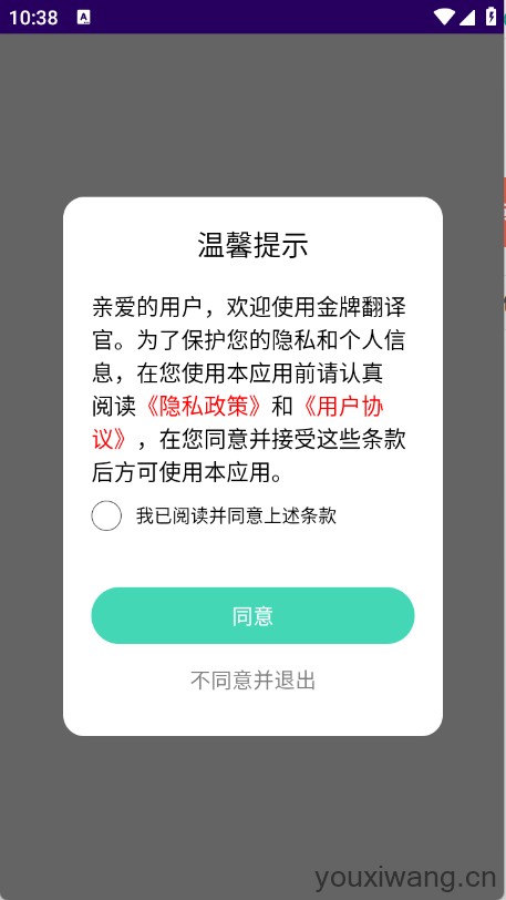 金牌翻译官(图1)
