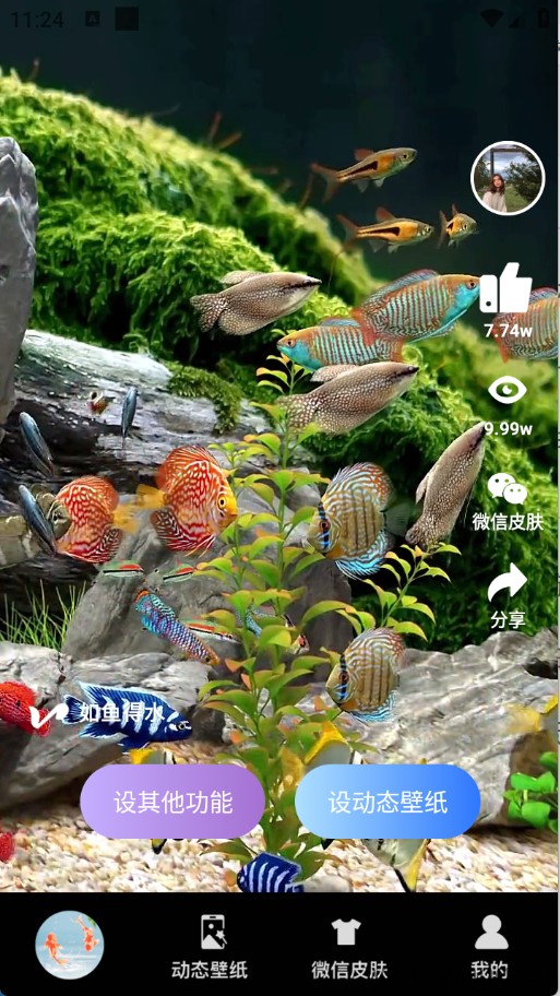 动态养鱼壁纸(图2)