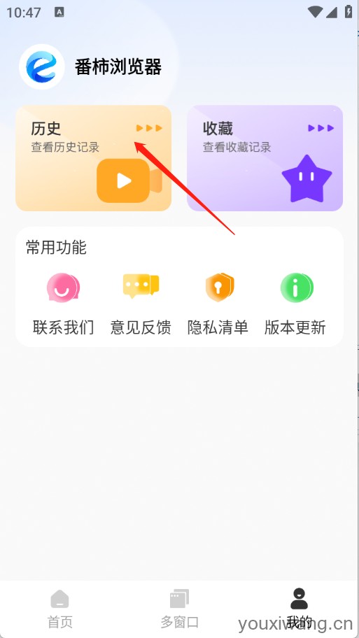 番柿浏览器(图6)