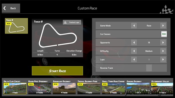 环形公路赛(图2)
