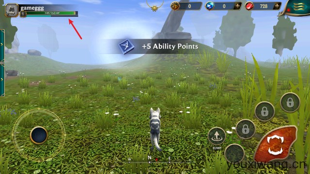 狼传说家园与爱心(图9)